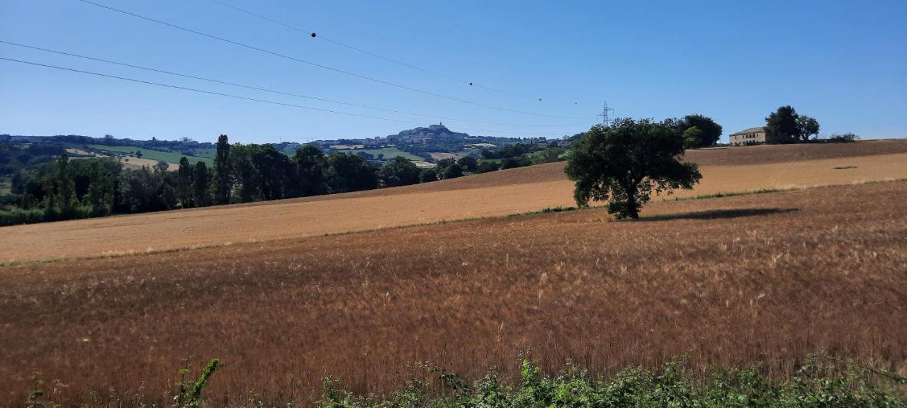 Appartamento In Contesto Esclusivo In Pieno Centro Camerano Exteriér fotografie