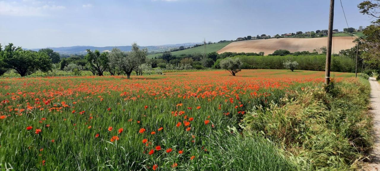 Appartamento In Contesto Esclusivo In Pieno Centro Camerano Exteriér fotografie