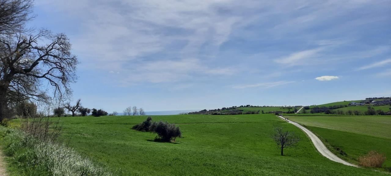 Appartamento In Contesto Esclusivo In Pieno Centro Camerano Exteriér fotografie